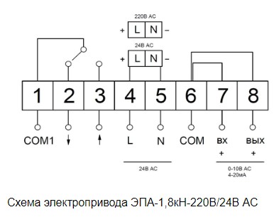 эпа лин 3.jpg