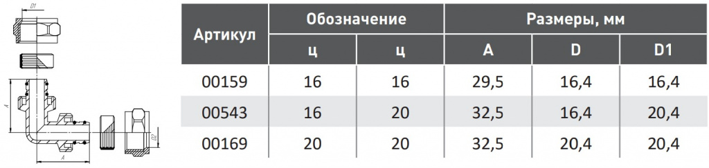 241.jpg